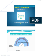 2 Odontogénesis 2020 Ciremo PDF