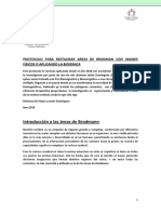 Protocolo para Activar Las Areas de Brodman Mariana Del Hoyo PDF