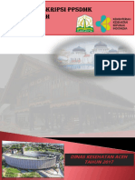 Poril SDMK Aceh Tahun 2017 PDF