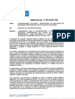 DIRECTIVA 17.pdf