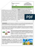 Practica 3(Impresa)