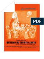 Seminário Vida Espírito: Batismo Experiência