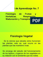 Nº 8 Fisiologia Product. Vegetales 8-7-20