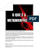 Planejamento Metamorfose PDF