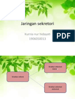 Jaringan sekretori.pptx