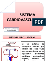 Clase 5 Sistema Cardiovascular