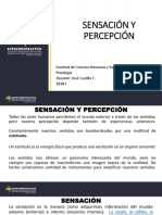 Tema 3 Sensación y Percepción PDF