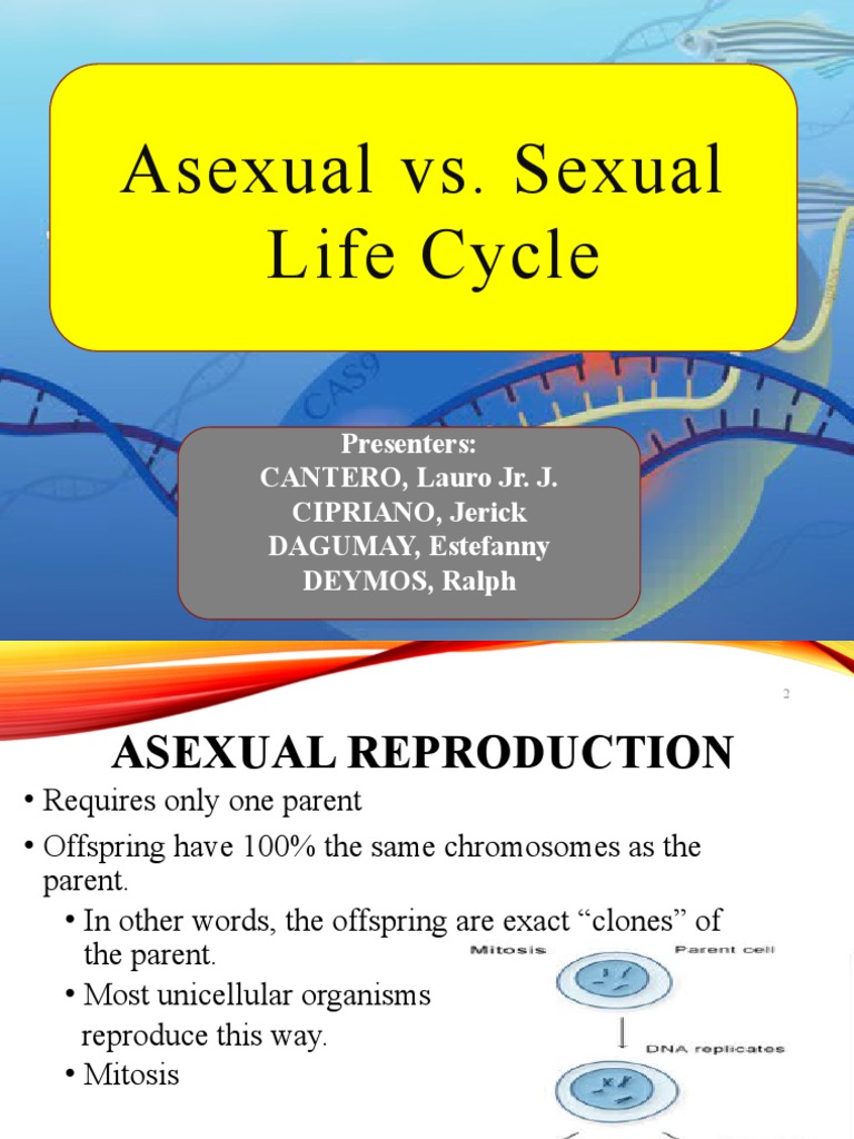 Asexual vs. Sexual Reproduction Explained | PDF | Sexual Reproduction ...