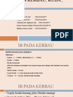 Ib Pada Kerbau