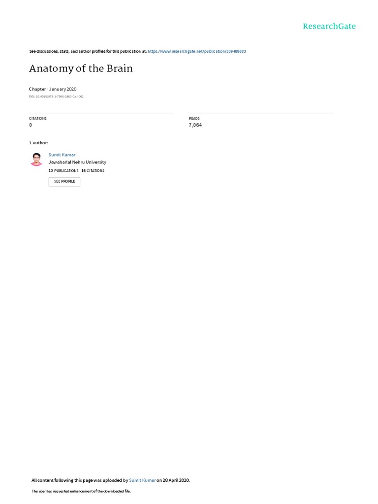 Anatomy of The Brain: January 2020 | PDF | Brainstem | Cerebrum