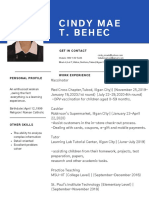 Software Engineer PDF