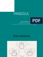 Panggul PDF