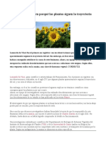 Noticia Sobre Girasoles