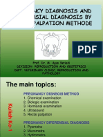 Uts 1-2. Pregnancy Diagnosis English Version PDF