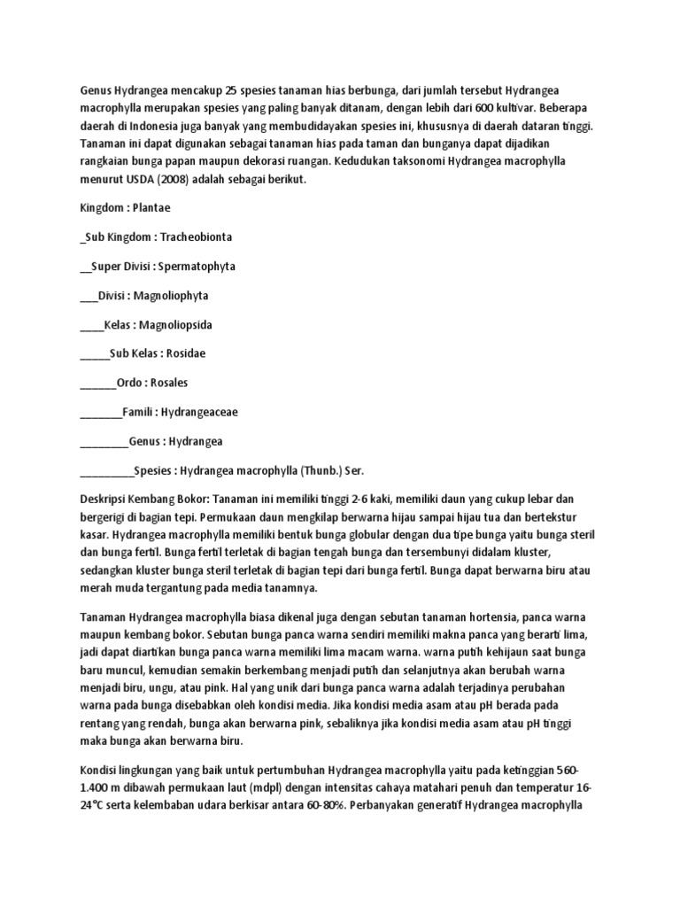 Panduan Budidaya Hydrangea | PDF