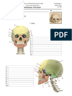 Ficha - AF-4 - Osteologia - 20-21
