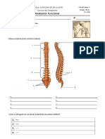 Ficha_AF-3 _osteologia__20-21