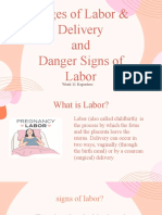 Stages of Labor & Delivery and Danger Signs of Labor: Week 11 Reporters
