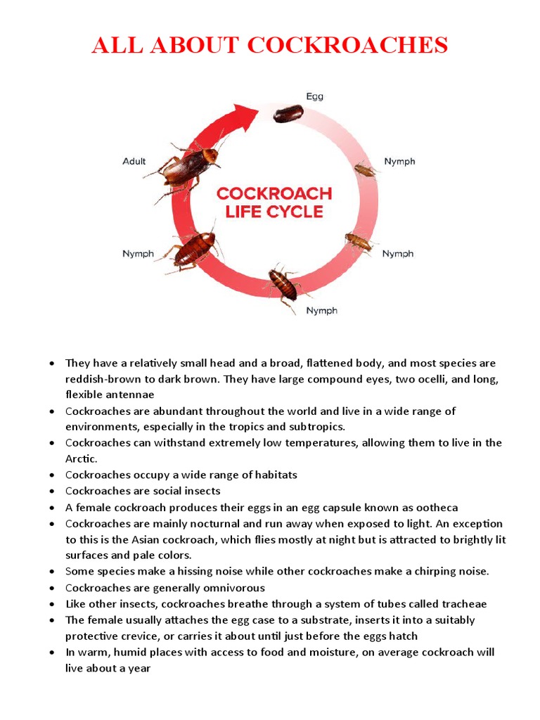 Comprehensive Guide to Cockroaches | PDF