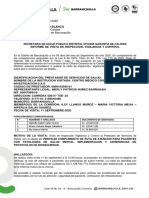 Informe Cmi PDF