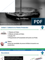 1calidad de Los Fluidos Producidos PDF