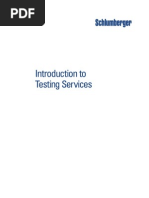 Download 01_introduction_to_testing_services by Hadi Hendizadeh SN48577924 doc pdf