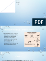 Enfermedad por virus equino venezolano (EEVV