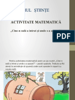 Activitate Matematică