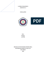 CDM Dan PDM PDF