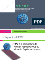 AULA - HPV.pdf