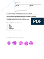 Atividade de Hematologia PDF