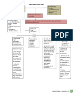 Pathophysiology Precipitating Factors: Predisposing Factors