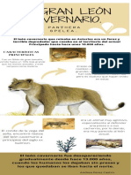 Infografia (Animal Prehistorico)