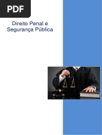 Direito Penal e Segurança Pública