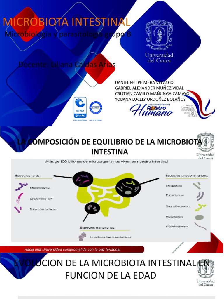 Microbiota Intestinal | PDF