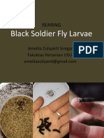 Rearing Black Soldier Fly Larvae for Composting and Waste Reduction