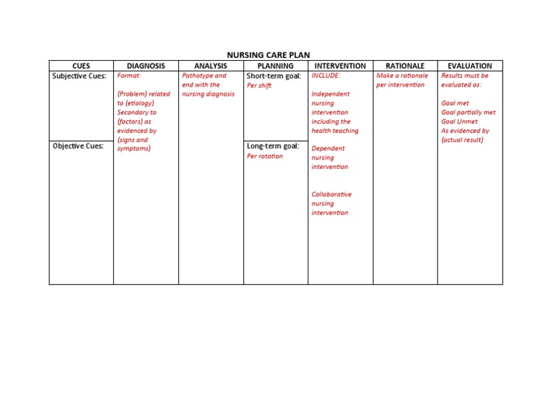 Nursing Care Plan Framework | PDF