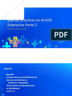 Buenas Practicas ArcGIS Enterprise WebGIS
