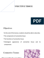 Connective Tissue.pptx