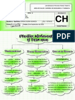 Chura Huanca Erika - Mapa Conceptual PDF