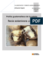 Agma CSCV Tecia 2017 PDF