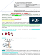 Guía 6 OctavoC. Naturales