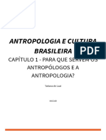 UNI 1 Antropologia e Cultura Brasileira