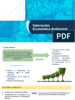 Economía Ambiental