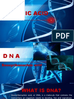 Biology Report - Nucleic Acid