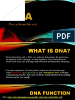 DNA and RNA: The Molecules of Life