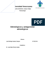 Adrenergicos y antagonistas adrenergicos-Rodrigo.docx