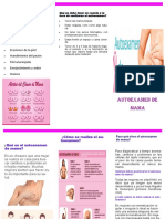 Folleto 3 PDF