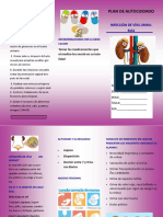 Folleto 5 PDF