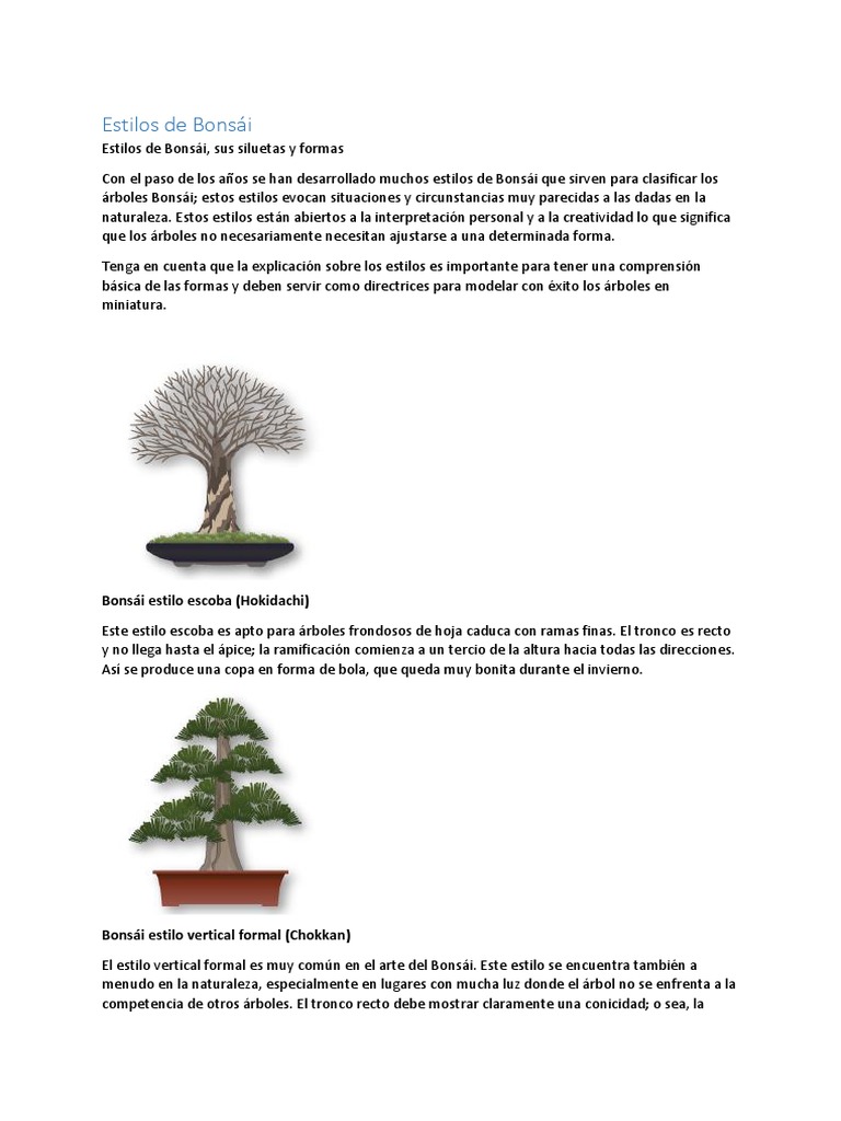 Cómo formar el tronco de un bonsái